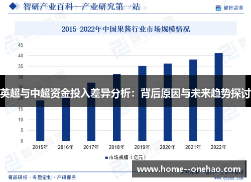 英超与中超资金投入差异分析：背后原因与未来趋势探讨