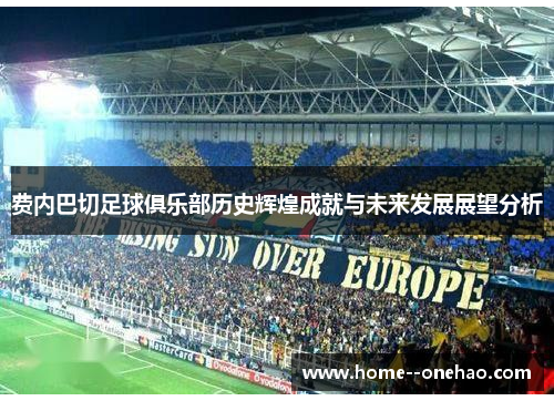 费内巴切足球俱乐部历史辉煌成就与未来发展展望分析