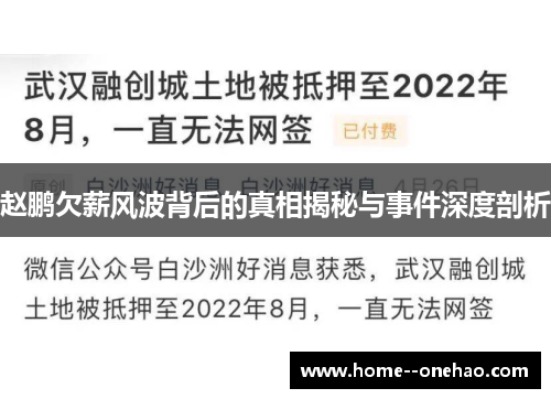 赵鹏欠薪风波背后的真相揭秘与事件深度剖析 赵鹏欠薪风波背后的真相揭秘与事件深度剖析