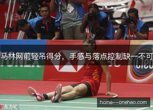 马林网前轻吊得分,手感与落点控制缺一不可 马林网前轻吊得分,手感与落点控制缺一不可